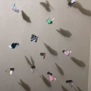 Meet your Posher, Adrian